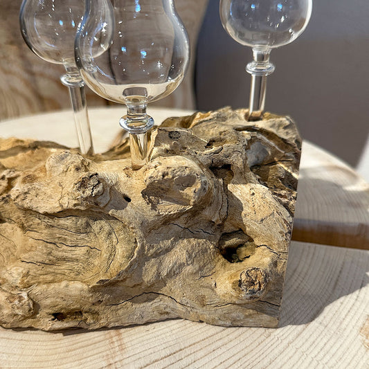 4er Schnapsglas-Set mit Wurzelholz